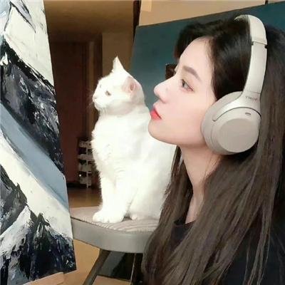 维京人埃里克